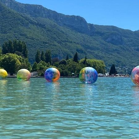 Ravissant T2 - Le Temps D'Une Pause Appartement Annecy Buitenkant foto
